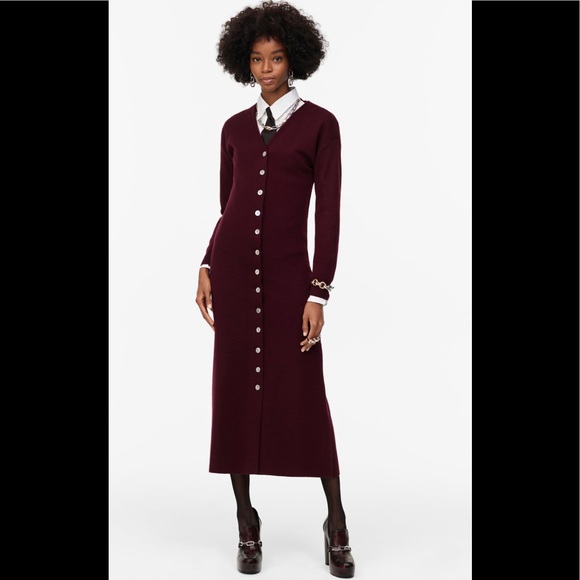 Zara Dresses & Skirts - BLOGGER FAV | NWT ZARA LIMITED EDITION BUTTONED KNIT